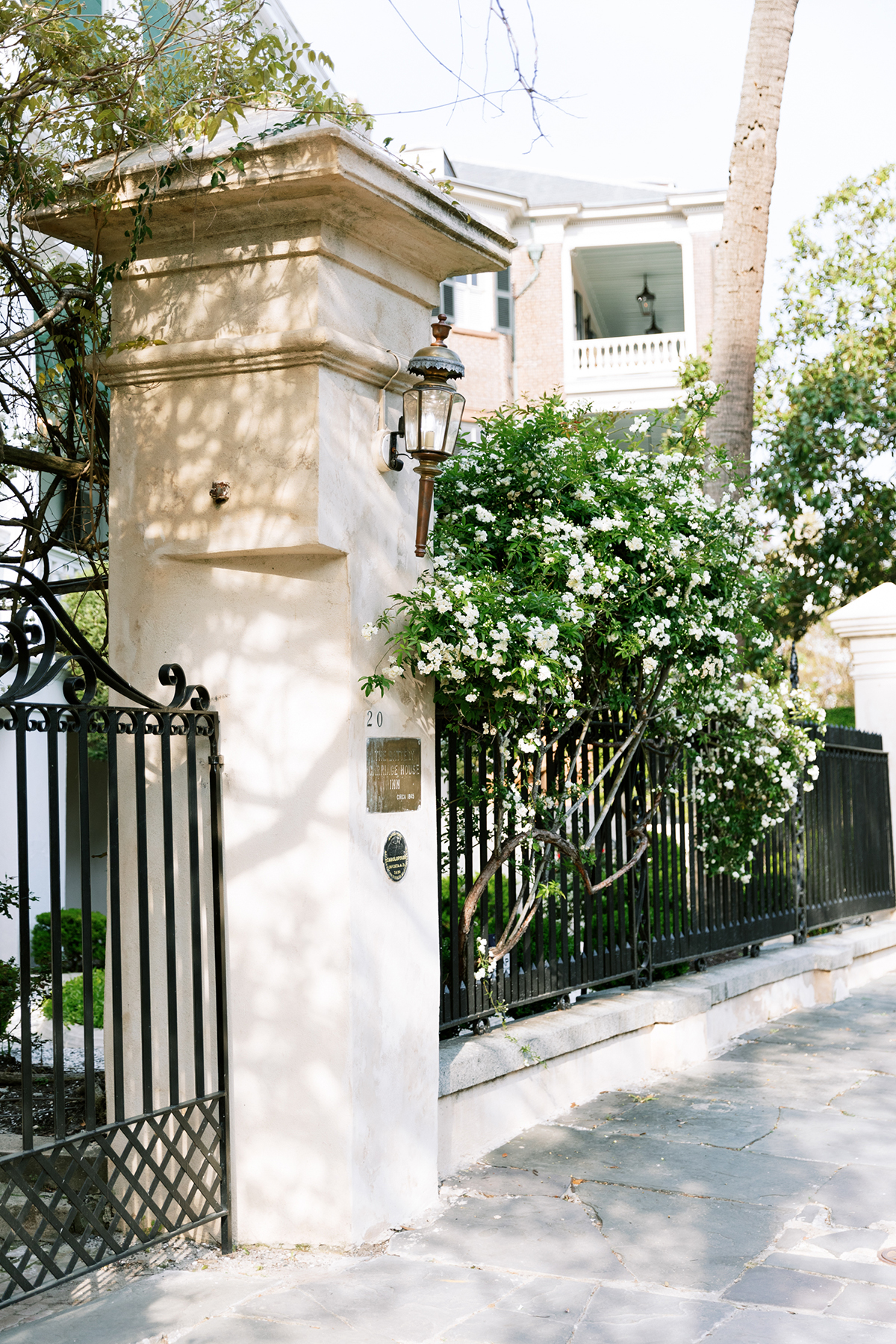 Entry of Estate Gate with Jasmine