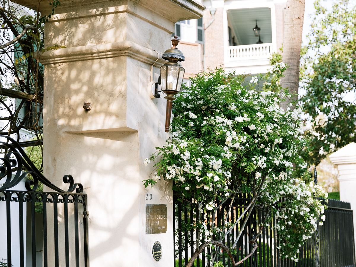 Entry of Estate Gate with Jasmine Entry of Estate Gate with Jasmine
