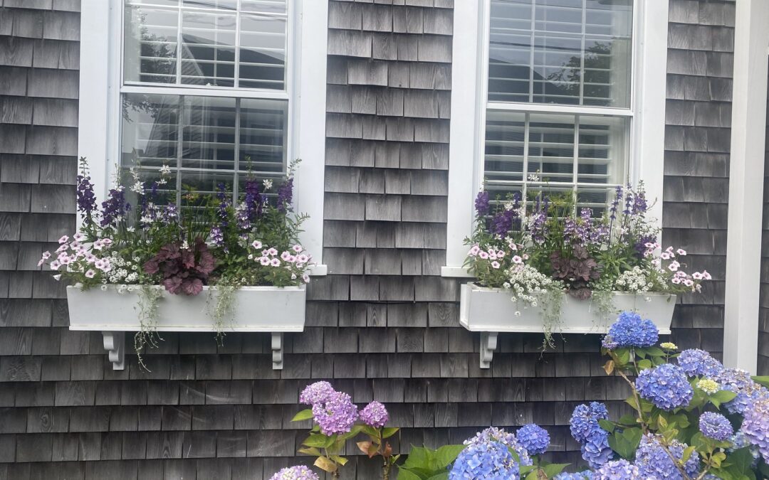 Nantucket Window Boxes: How to Get the Island Look at Home