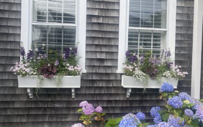 Nantucket Window Boxes: How to Get the Island Look at Home